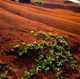 牧场符文制作人新作《背后世界》公布新预告